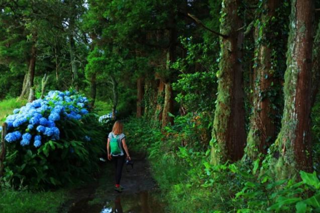 By The Sea Azores هيبيرا غْريندي المظهر الخارجي الصورة